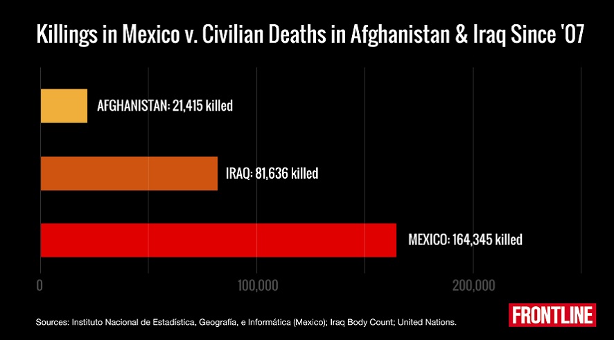 mexican drug war homicides