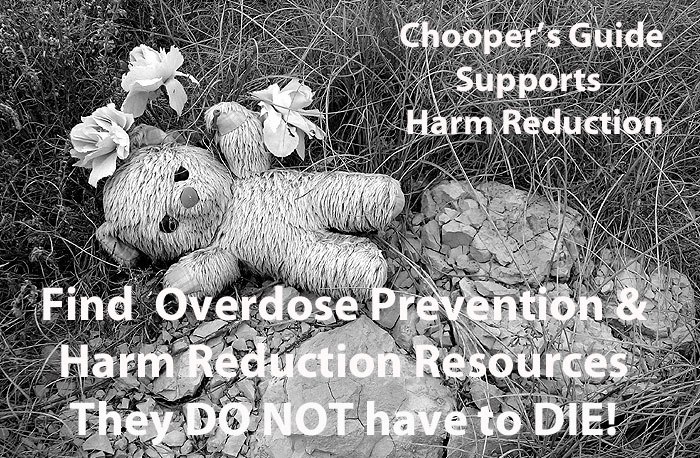 ChoopersGuide- Overdose Prevention