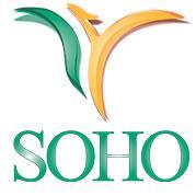 SOHO Wellness Iniative