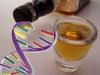 Scientists find genetic link to subjective alcohol effects