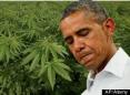 Obama Marijuana Legalization Stance Rebutted By Failed Drug War