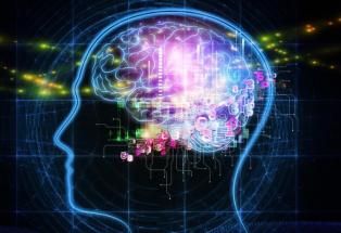 The Charlie Rose Brain Series 2: Neurological, Psychiatric and Addictive disorders