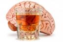 Israeli-US research: Turning off brain trigger may prevent alcohol addictions