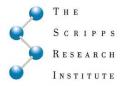 Scripps Research Institute Scientists Find New Point of Attack on HIV for Vaccine Development